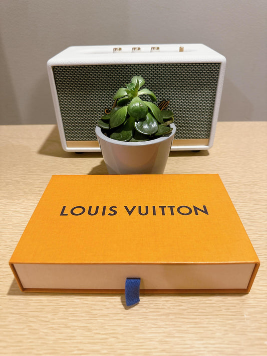 Louis Vuitton Designer Gift Box
