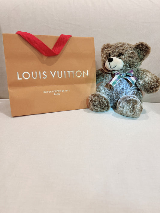 Louis Vuitton Paper Bag