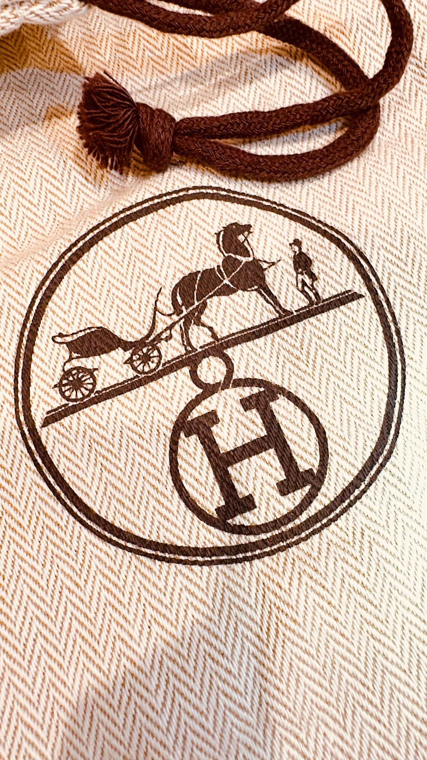 Hermes Dust Bag
